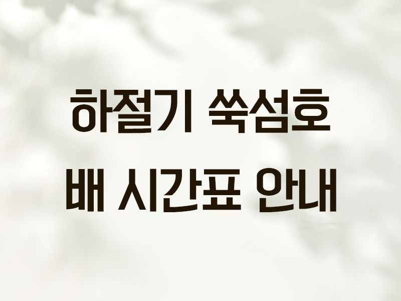 2025년 하절기 쑥섬호 배 시간표 안내드립… 썸네일