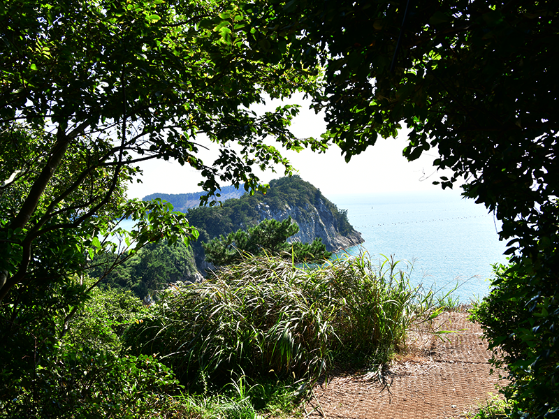 환희의 언덕으로 가는 길입니다. 썸네일
