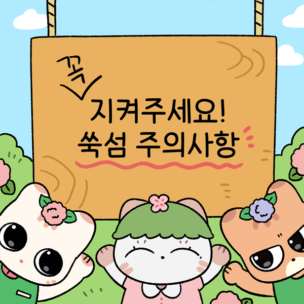 쑥섬 주의사항 꼭 지켜주세요! 썸네일